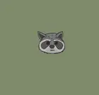 A Raccoon Named Gloom