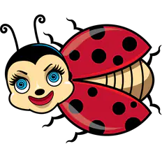 CrazyBug