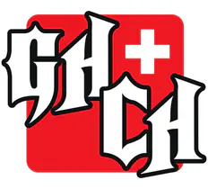 Guitar Hero Switzerland