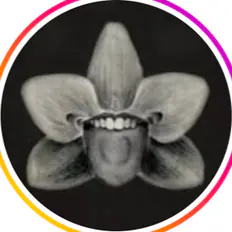 cheekyorchid