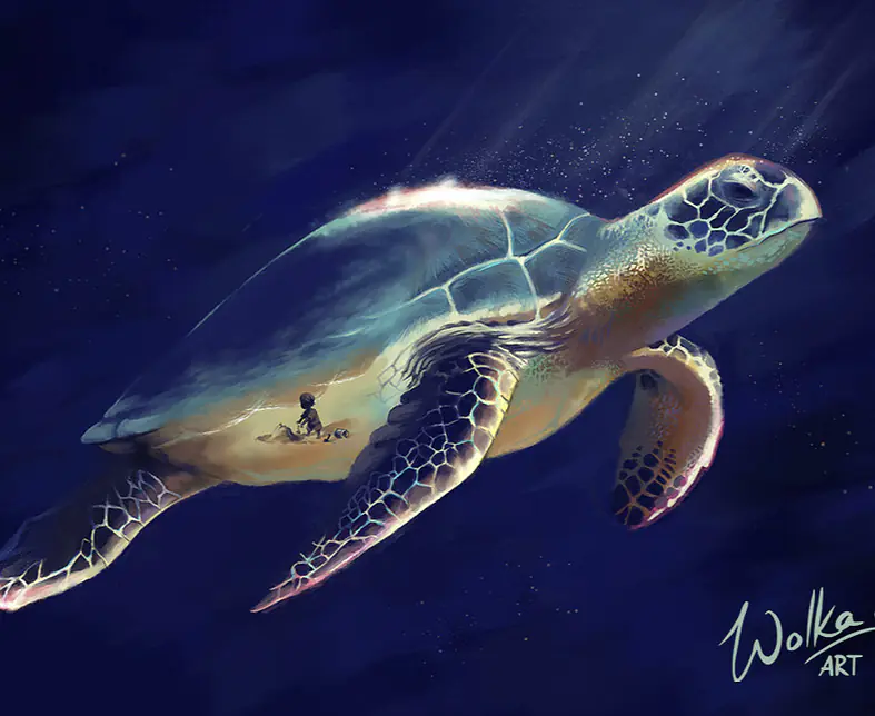 wolka-art-turtle.jpg